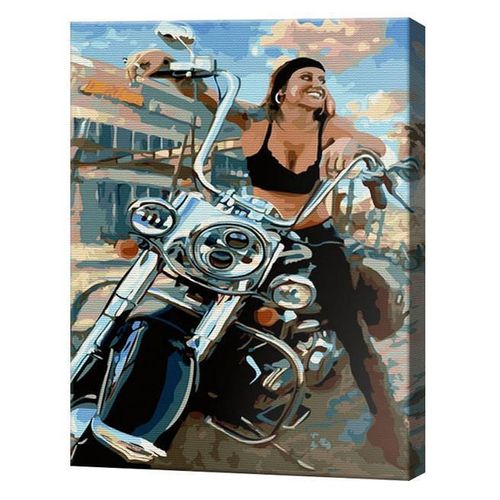купить Картина по номерам Art Gallery GX36882 40x50cm Motociclista в Кишинёве 