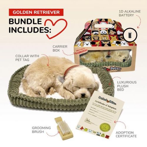 купить Мягкая игрушка Perfect Petzzz 91-02 Cățeluș Retriever auriu cu imitație de respirație в Кишинёве 