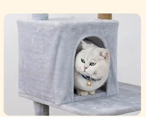 cumpără Centru de joc pentru pisici miscellaneous 523 Grey Cat Tree în Chișinău 