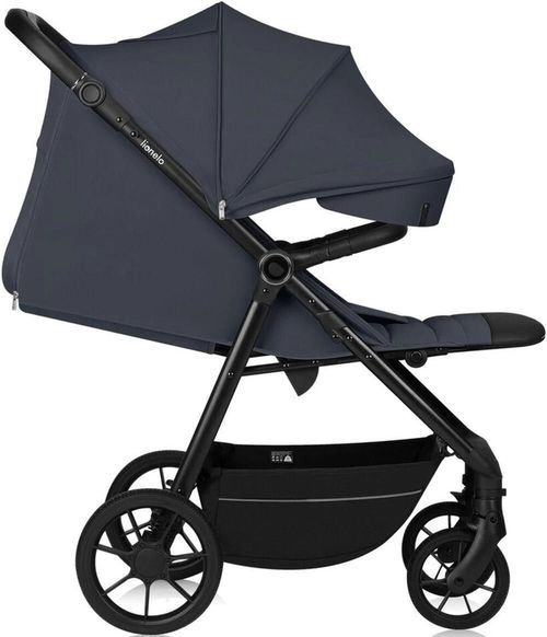 купить Детская коляска Lionelo Iva Grey Graphite в Кишинёве 