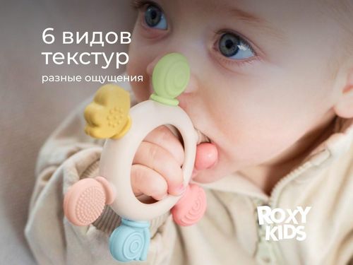cumpără Iinel dentiție Roxy Kids RWDN-001 Штурвал, прорезыватель силиконовый с кольцом из бука în Chișinău 
