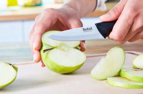 купить Набор ножей Tefal K2213S55 Essential в Кишинёве 