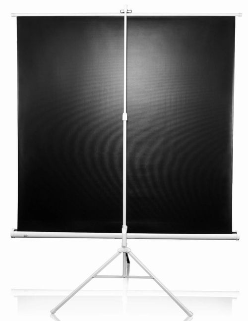 купить Экран для проекторов Elite Screens T120NWV1 в Кишинёве 