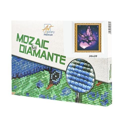 cumpără Tablou pe numere Art Gallery JS27652 Mozaic cu diamante 20x30cm Fluture si inima în Chișinău 