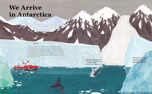 cumpără Antarctica | A Continent of Wonder by Mario Cuesta Hernando, Raquel Martín în Chișinău 