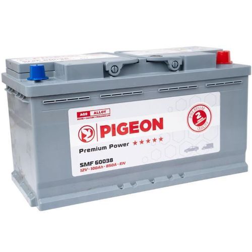 cumpără Acumulator auto Pigeon SMF 60038 12V 100Ah 850A în Chișinău 