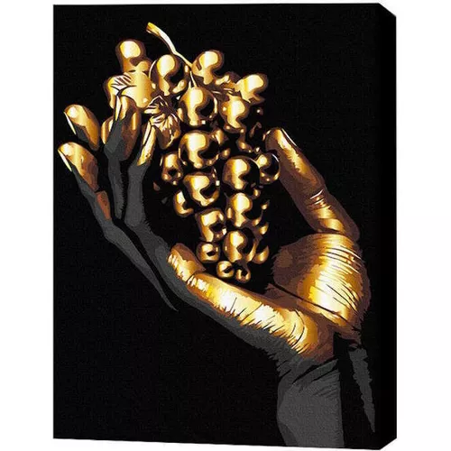 cumpără Tablou pe numere BrushMe BSB0003FC 40x50cm (pânză neagră/fără cutie) Pensulă de aur în Chișinău 