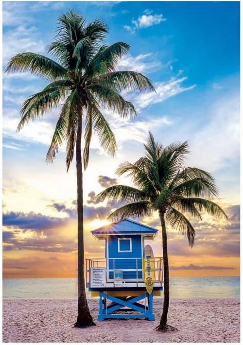 купить Пазл Clementoni Puzzle 500 Miami Beach Florida 2025 (35574) в Кишинёве 