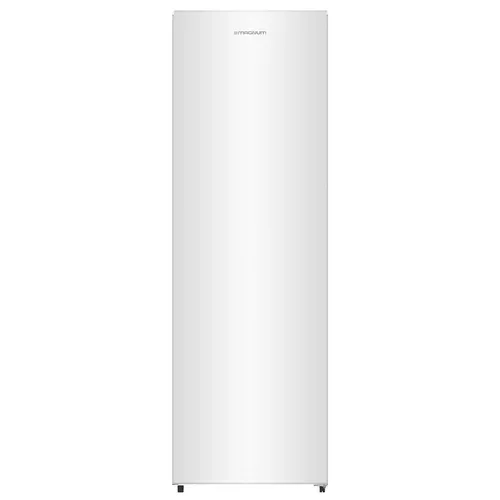 cumpără Congelator Magnum LESW-215WD în Chișinău 