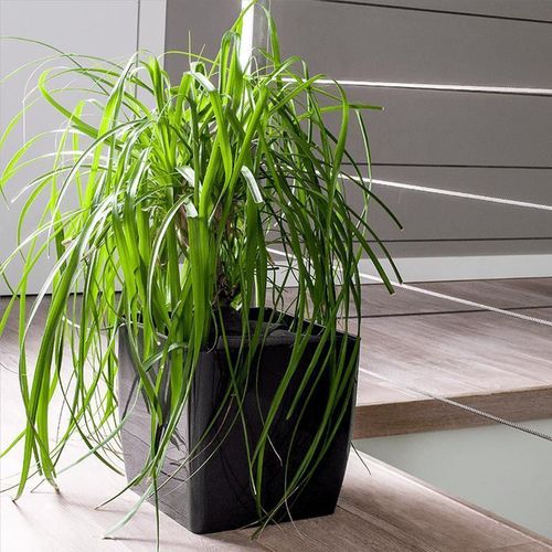 cumpără Ghiveci pentru flori Aleana 115084 Cvadro 22x22x21 cm, granit în Chișinău 