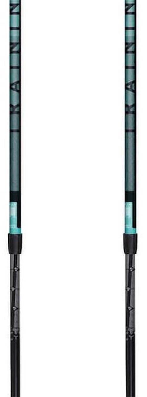 купить Треккинговые палки Masters NW TRAINING (01N0619/01N0620) в Кишинёве 