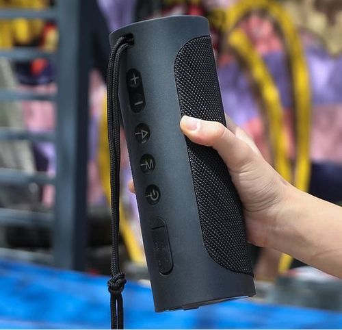 cumpără Boxă portativă Bluetooth Tronsmart T6 Pro Black (448105) în Chișinău 