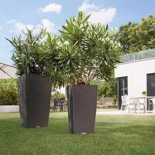 cumpără Ghiveci pentru flori Lechuza Cube Cottage 40, Mocha în Chișinău 