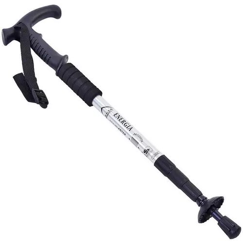 купить Треккинговые палки Arena 91053 серебро в Кишинёве 