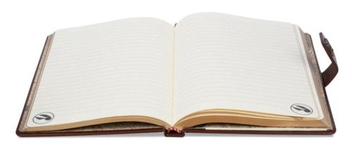 cumpără Accesoriu pentru birou Pyramid International SR72883 Harry Potter (Quidditch) A5 Premium Notebook în Chișinău 