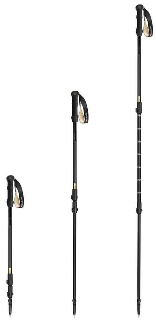 cumpără Bețe pentru trekking Spokey 944827 Trail Black, для скандинавской ходьбы în Chișinău 