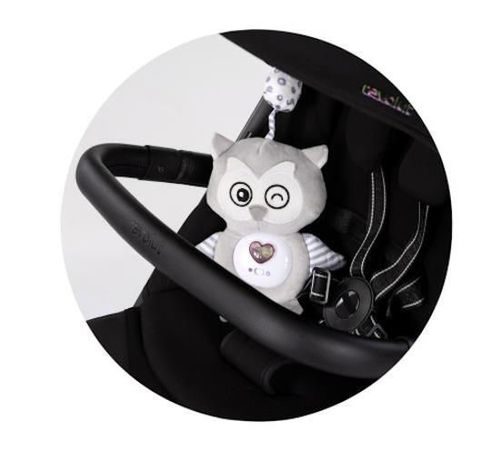 cumpără Jucărie cu pandantiv Chipolino Owl PIKL02502OWL плюш муз în Chișinău 