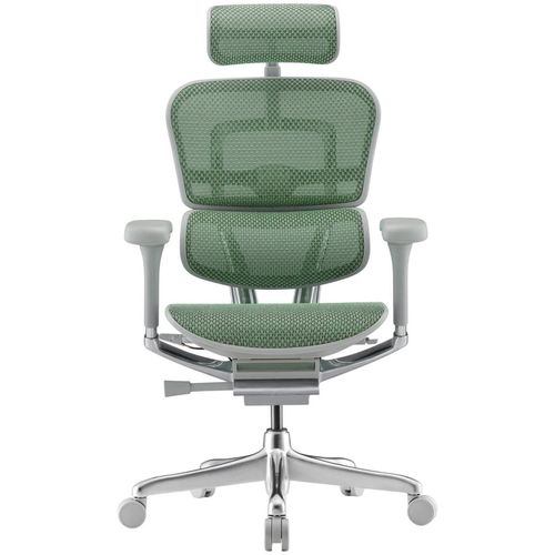 купить Офисное кресло ART Ergohuman Elite 2 Green T-168-B6 EHE2-AG-HAM-5D-L в Кишинёве 