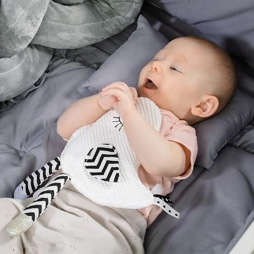 cumpără Jucărie de pluș BabyOno 1536 Птичка Blink&Shine, игрушка-шуршалка în Chișinău 