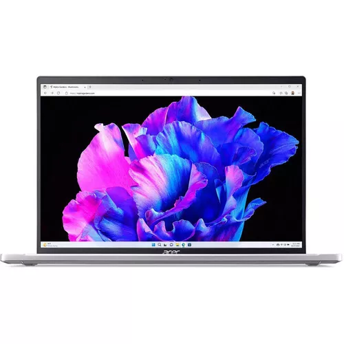 купить Ноутбук Acer Swift Go 14 Pure Silver (NX.KG3EU.005) в Кишинёве 