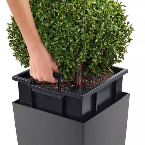 купить Цветочный горшок Lechuza Cubico Premium 30, Scarlet Red в Кишинёве 
