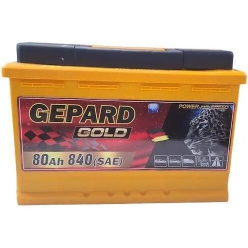 купить Автомобильный аккумулятор Gepard GOLD 80 AH 850A (277x175x191) в Кишинёве 