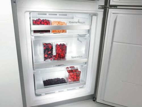 купить Морозильник Gorenje FN617EEW5 в Кишинёве 