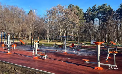 cumpără Echipament pentru exerciții în aer liber PlayPark B-07 în Chișinău 