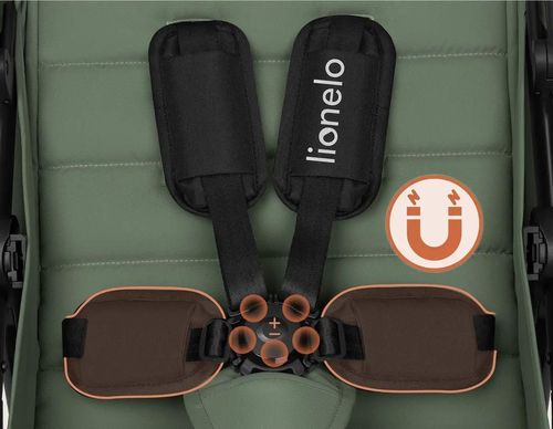 купить Детская коляска Lionelo Iva Green Forest в Кишинёве 
