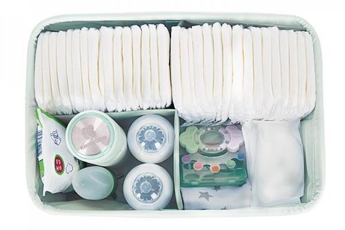 cumpără Geantă pentru mama Kikka Boo 31108060025 Organizator scutece Beart with me Mint în Chișinău 