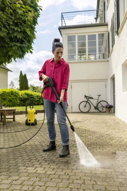 купить Мойка высокого давления Karcher K 5 + RM 619 5L в Кишинёве 
