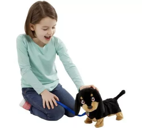 купить Игрушка miscellaneous 919091A Waggles в Кишинёве 