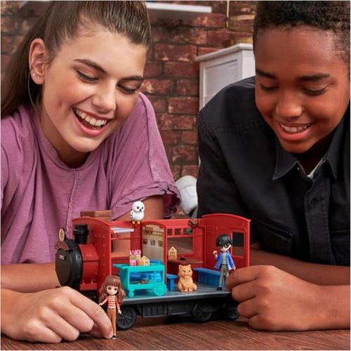 купить Игрушка miscellaneous 6064928 Wizarding World Harry Potter, Hogwarts Express в Кишинёве 