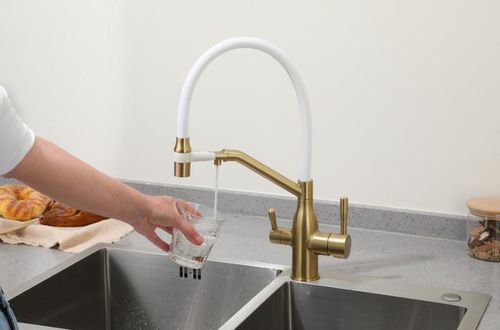 cumpără Bateria bucătărie Frap F 4397-3 (chiuveta plus flexibil) Alama GOLD în Chișinău 