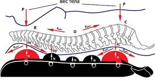 купить Спортивное оборудование misc 6778 Aparat masaj pentru spate din frasin (max. 200 kg), 5 role Tremass Doctor в Кишинёве 