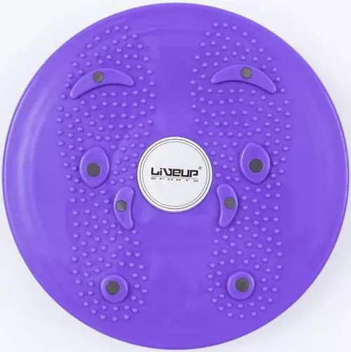 купить Гантель LiveUp 41444 Magnetic Disc LS3165B/VT в Кишинёве 
