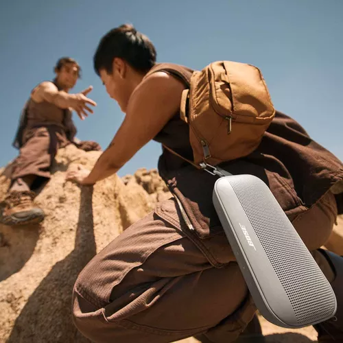 купить Колонка портативная Bluetooth Bose Soundlink Flex 2nd Gen, Sandstone в Кишинёве 