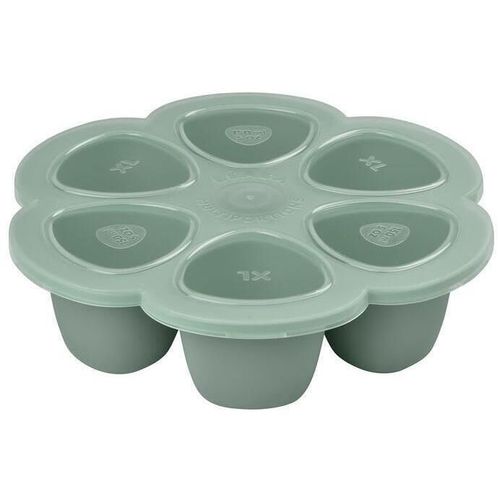 cumpără Container alimentare Beaba B914001 Recipient ermetic silicon multiportii 6x150 ml Sage Green în Chișinău 