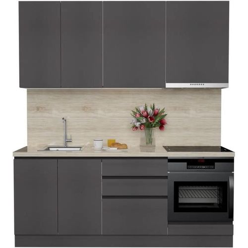 cumpără Mobilă pentru bucatarie ArtFlame GOLA Storm Grey (2 m.l.) în Chișinău 
