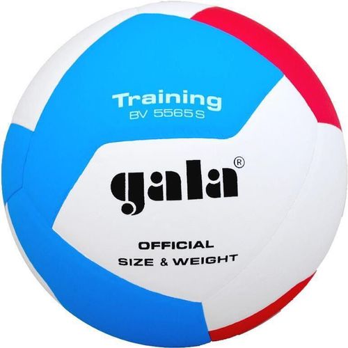 cumpără Minge Gala 9000 Minge volei Training 5565 în Chișinău 