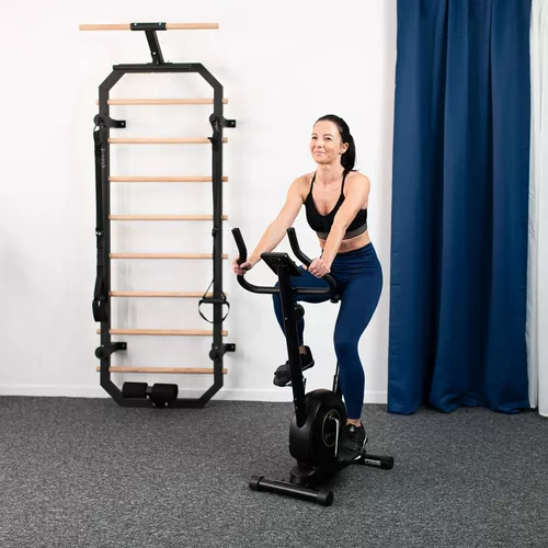 купить Велотренажер HMS 2892 Bicicleta magnetic (110kg) M8750 Black (17-01-046) в Кишинёве 