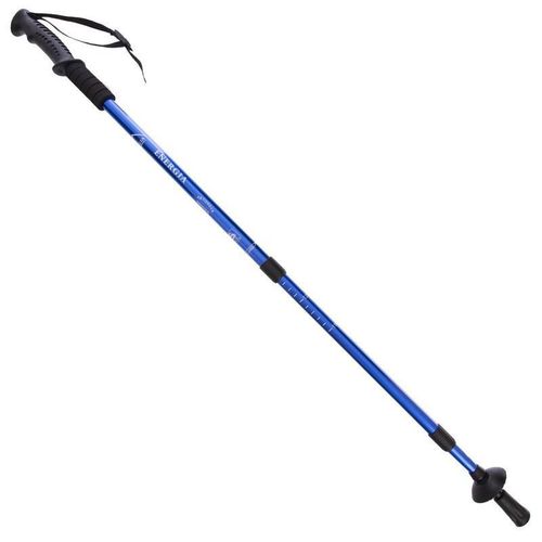 cumpără Bețe pentru trekking Arena палка треккинг 765130 2 шт синий în Chișinău 