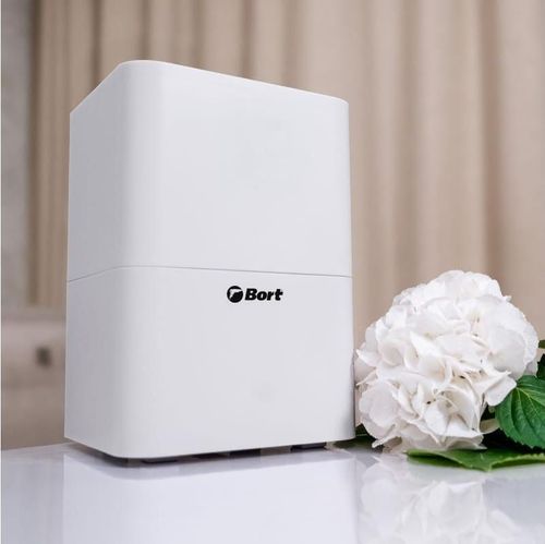 купить Мойка воздуха Bort Silver Air в Кишинёве 