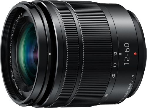 купить Фотоаппарат беззеркальный Panasonic Lumix DC-G9M2MEE в Кишинёве 