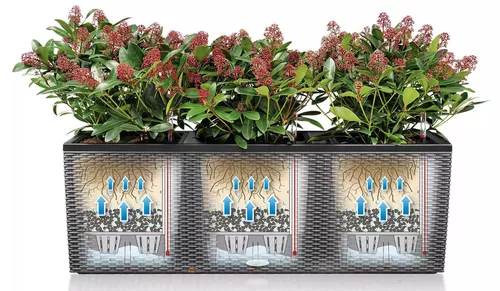 купить Цветочный горшок Lechuza Trio Cottage 40, White в Кишинёве 