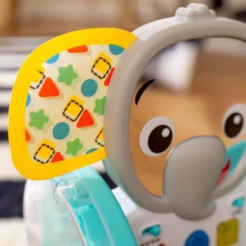 cumpără Jucărie muzicală Baby Einstein 16923 Jucarie interactiva Chase & Tap Earl în Chișinău 
