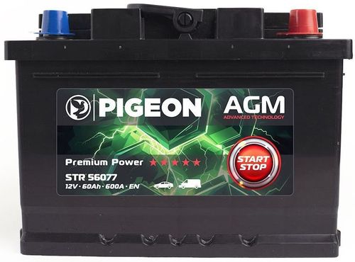cumpără Acumulator auto Pigeon EFB Start/Stop 12V 60Ah 600A în Chișinău 