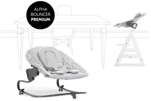 cumpără Leagăn pentru bebeluși Hauck Alpha Bouncer 2in1 Premium Rainbow în Chișinău 
