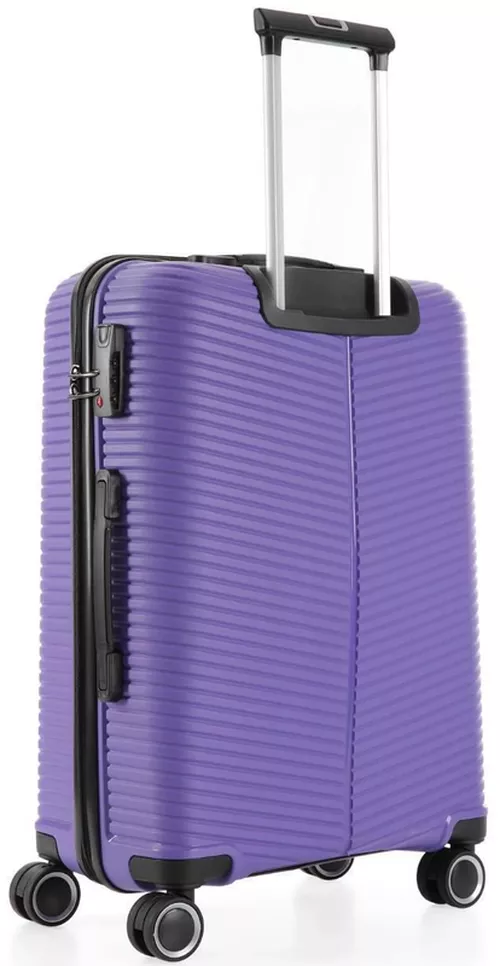 купить Чемодан CCS 5224 M Purple в Кишинёве 