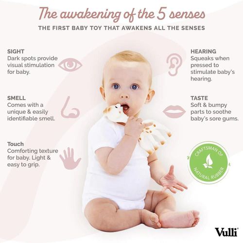 cumpără Iinel dentiție Sophie la Girafe 616331B So Pure Flat pack (100% latex natural) în Chișinău 